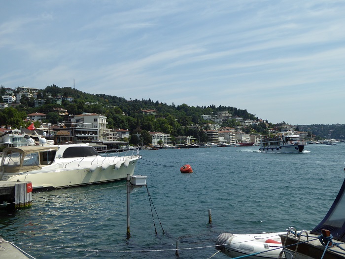 Bosphorus View