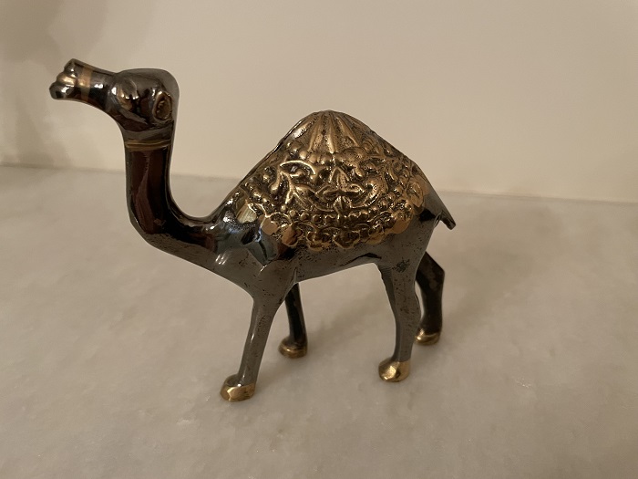 Souvenir Camel