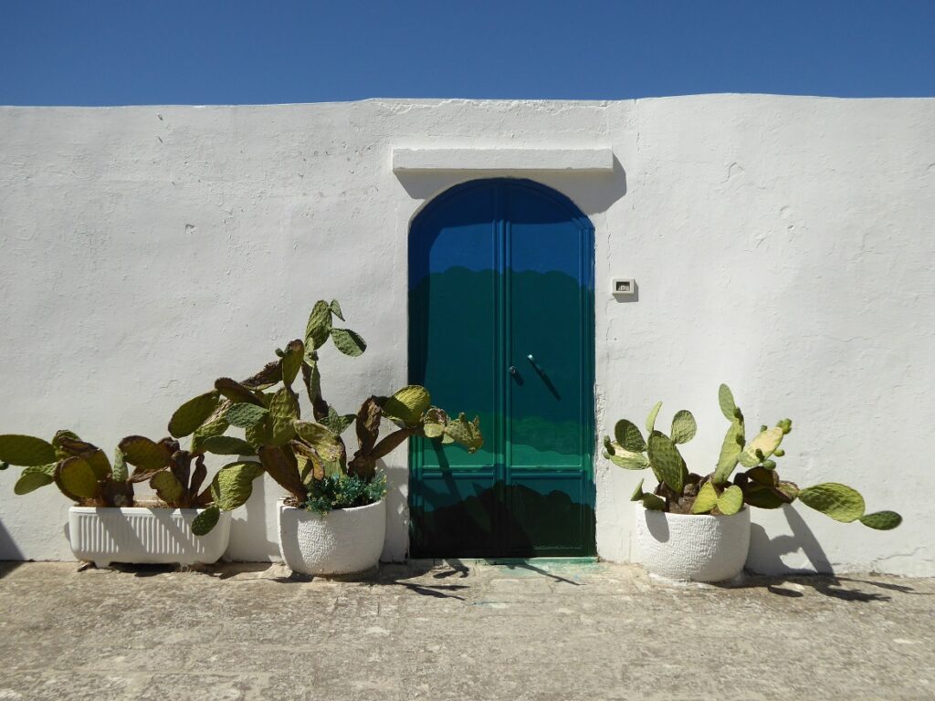 Cacti and Door