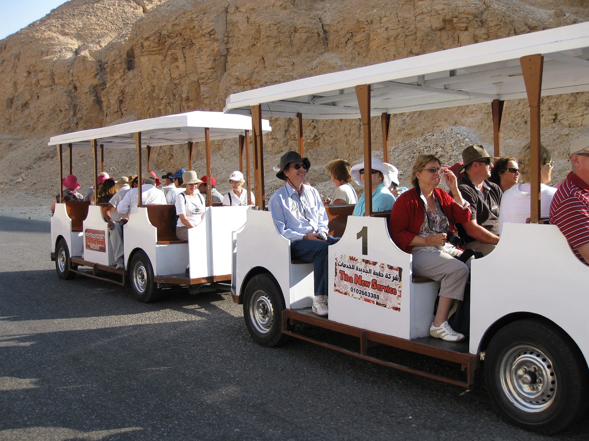 Trolly Bus