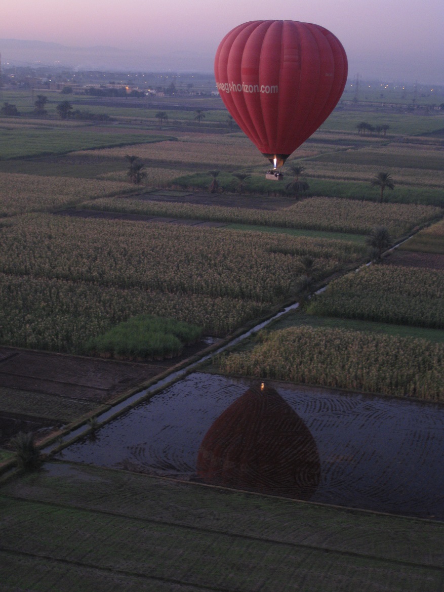 Over the crops