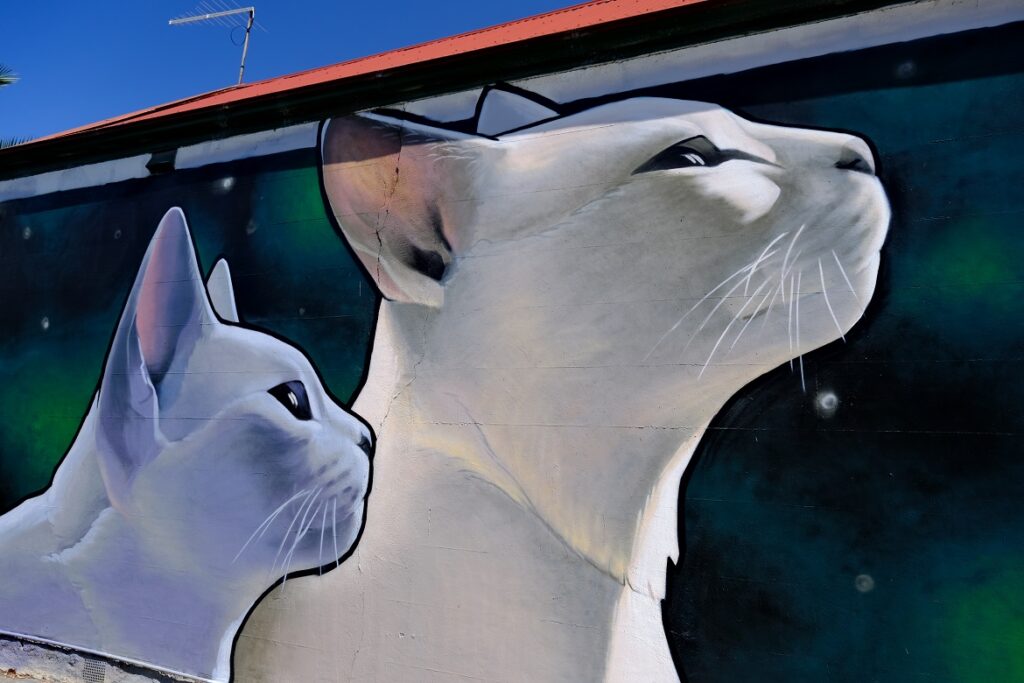 Cats Mural