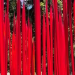 Red Reeds on Logs