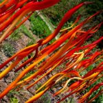 Cattails and Copper Birch Reeds