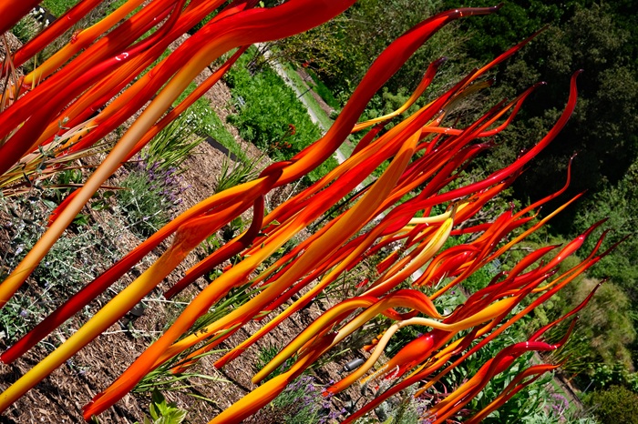 Cattails and Copper Birch Reeds